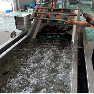 Système continu de convoyeur automatique 3 mètres 4 mètres 5 mètres 6 mètres SUS304 <span class=keywords><strong>Machine</strong></span> à <span class=keywords><strong>laver</strong></span> les fraises fraîches à bulles d'eau - Product Image 2