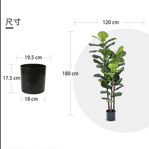 180cm piante artificiali Faux Fiddle Leaf pianta <span class=keywords><strong>l</strong></span> fichi piante di seta in vaso <span class=keywords><strong>albero</strong></span> interno per la decorazione della casa - Product Image 6