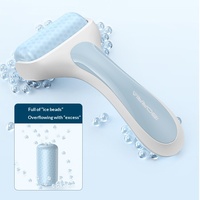Appareil de massage facial à rouleaux de glace silencieux PE, modèle R1 transfrontalier de Shenzhen, pour compresses froides