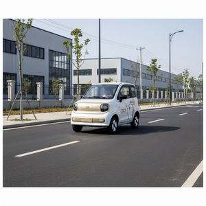Vehículo Eléctrico Pequeño de 4 Ruedas con Certificación CE, 1000W, Gran Oferta, Little Horse, 2 Puertas, 4 Asientos, Auto Eléctrico, Vehículos de Nueva Energía Más Baratos - Product Image 1