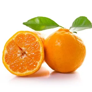 มังการินสดคุณภาพสูงสีส้มมังการินสด Ponkon ส้มสดออร์แกนิกจาก CN