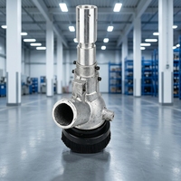 Pistolet de sablage en alliage métallique Born Machinery, hauteur totale 335 mm, entrée latérale pour l'élimination de la rouille