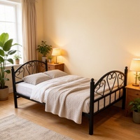 Cadre de lit métallique moderne, taille double, sommier en fer, tête de lit à motif double cœur, structure KD pour appartement, école, dortoir