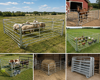 Panneau de clôture de ferme en acier galvanisé, écologique, facilement assemblable, clôture amovible pour bétail, chevaux et moutons, hauteur de 10 pieds