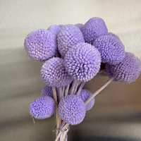 Fleur séchée naturelle Craspedia Golden Ball (Billy Balls) pour décoration de Noël, mariage, maison et projets DIY