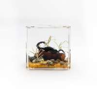 Figurine Dekorasi Meja Harga Pabrik, Model Hewan Resin Kubus, Resin Epoksi, Dekorasi Kamar Tidur, Ornamen Kerajinan