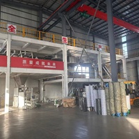 Ligne de production d'engrais liquides organiques NPK granulaires bio WSL Chine, moteur haute efficacité, capacité de 1 à 30 tonnes/heure, soluble dans l'eau