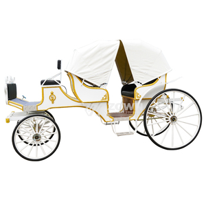 Charrette de tourisme vintage de haute qualité pour 4 à 6 personnes, couleur personnalisée, traînée par des chevaux ou électrique, pour les touristes des parcs - Product Image 1