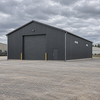Atelier à grande portée en structure métallique, conception résistante aux vents forts, entrepôt métallique conforme à la norme EN, garage de stockage, bâtiment industriel