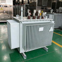 Transformateur de distribution immergé dans l'huile 60Hz S11-M Triphasé 480V Cuivre IEC60076 Économe en énergie