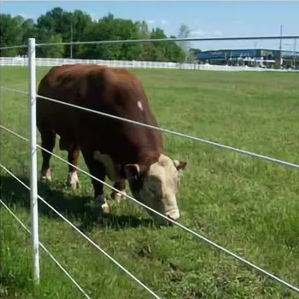 מפעל אספקת פיברגלס מוצק מוט זכוכית מוטות עם קטרים החל מ 3 מ "מ עד 20 מ" מ - Product Image 6