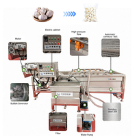 Dadels, fruit, groenten, bladgroenten, bubbel fruitwasmachine, waslijn