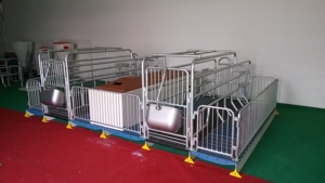Veeteelt Apparatuur, Kraamhok Voor Varkens - Product Image 5
