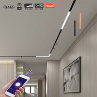 Lampe magnétique intelligente sur rail 48V 25W 30W Dali, encastrée, suspendue, éclairage LED magnétique pour rail de plafond