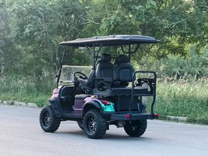 Voiturette de golf électrique 4x4 couleur or certifiée CE 3-4 places 48V AC 5kW avec plancher en aluminium, luxe, pour le tourisme et promotionnelle - Product Image 5
