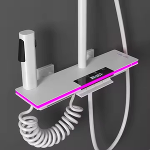 Cá Nhân Sang Trọng Mưa Mái Đầu Vòi Hoa Sen 9-Chức Năng Kép grinch Thiết Kế Chrome Brass Mở Rộng Ống Mềm Massage Chải Gốm - Product Image 3