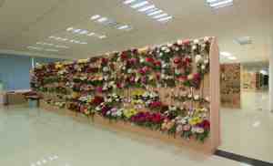 Commercio all'ingrosso singolo stelo soffice seta bianca fiori artificiali di ortensia fatto a mano floreale realistico per eventi decorazione ringraziamento - Product Image 4