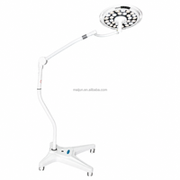 Lampe d'examen chirurgical LED haute intensité à double installation murale ou mobile pour clinique vétérinaire