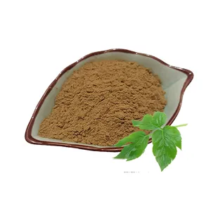 Reines Pflanzen-Ashitaba-Stiel-und Blattextrakt-Ashitaba-Samen pulver