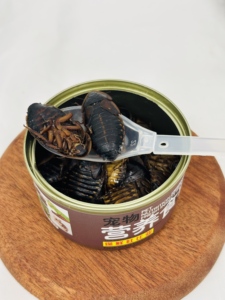 Alimentos al por mayor a base de insectos: Gusanos de la harina, Cucarachas Dobi frescas y ecológicas, Insectos - Product Image 1