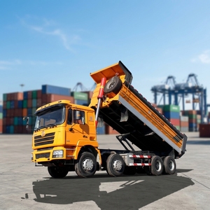 Venta Directa de Fábrica, Camiones Nuevos Shacman, Camión Volquete 6X4 de 10 Ruedas y 25 Toneladas, Camión Volquete F3000 L3000 en Venta - Product Image 1