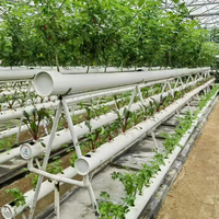 Système hydroponique de serre à 10 niveaux pour la culture de la laitue à haute densité, 4m de long, avec canaux NFT pour un faible encombrement