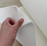 Isolation thermique d'étanchéité de four Papier de fibre céramique de 6mm
