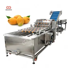 Otomatik meyve temizleme, kurutma, ağda ve paketleme makinesi Blanching sonra Mango yıkama ekipmanları