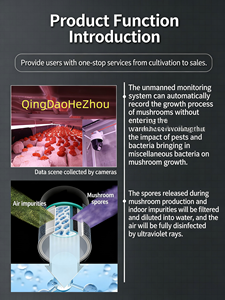 Sistema Hidropónico de Cultivo Vertical de Hongos HEZHOU, Invernadero Inteligente Automático de 40 Pies, Caja de Cultivo para Granja - Product Image 6