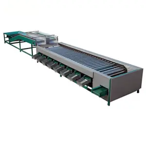 Hot Selling Function Size Tomato Grading Machinery Industrial Blueberry Sorting Machine