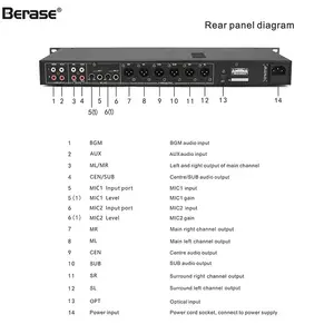 Novo processador de áudio profissional DSP para karaokê com função de interruptor de som e silencios