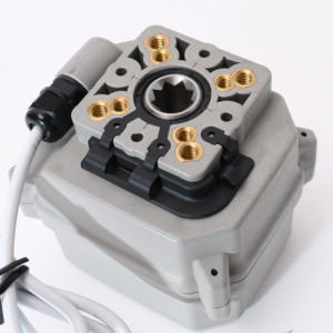 TONHE A150 15N.<span class=keywords><strong>M</strong></span> ff05 DC12V/DC24V CR301 elektrik kontrol vanası aktüatör - Product Image 4