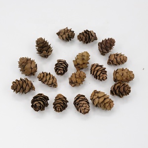 Mini nhỏ thông nón 25 Vòng chất béo tự nhiên sinh thái thân thiện trang trí pinecones 1 "2" 2.5-3cm - Product Image 1