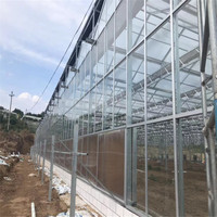 Serre agricole commerciale en verre de grande taille ZHUOTAI avec système hydroponique, origine Chine
