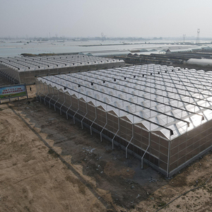 Serra Agricola Multi-Span Grande Starfarm in Stock per Idroponica di Pomodori con Copertura in Lastre di Policarbonato - Basso Costo, Alta Resa - In Offerta - Product Image 2