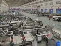 Kleine schaal automatische productielijn voor frites 100kg/u 150kg/u machine voor diepvriesfrites