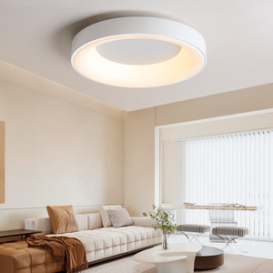 Lámpara de techo con marco de hierro, lámpara de techo acrílica ultrafina de 8CM nórdica, luces de montaje empotrado, <span class=keywords><strong>luz</strong></span> de techo Led para hogares - Product Image 2