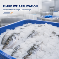 Machine à glace en flocons industrielle de grande capacité 1T 2T 3T 5T 10T par jour, machine à glace en flocons commerciale à vendre