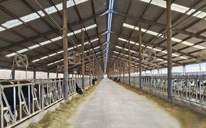 2025ปีโครงสร้างเหล็ก<span class=keywords><strong>แบบ</strong></span><span class=keywords><strong>ประหยัด</strong></span>ดีไซน์ทันสมัยโครงสร้างเหล็กอาคารทุ่งหญ้า - Product Image 2