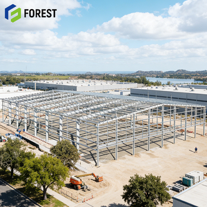 Taller Robusto de Estructura de Acero Prefabricada, Diseño de Rejilla de Gran Envergadura, Montaje Rápido, Ahorro de Espacio, para Apartamentos, Almacenes, Hospitales - Product Image 1