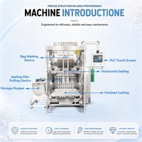 Volledig automatische multilane 10ml 15ml ijslolly, ijsstokjes, vloeibare jelly stick en sachet verpakkings- en cartonneermachinelijn