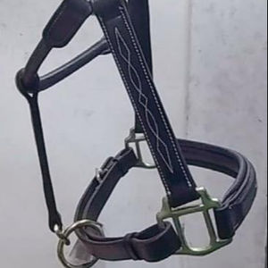 Licou à couture de fantaisie avec intérieur en néoprène, casque anatomique, matériel en acier Standard disponible en toutes les tailles - Product Image 1