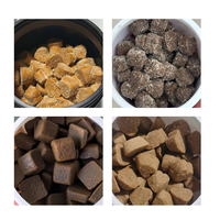 Fabricant de Suppléments pour Animaux de Compagnie : Nouvelles Friandises Tendres pour Chiens, Soutien des Glandes Anales, Saveur Bacon, Poudre de Citrouille, Probiotiques (OEM/ODM)