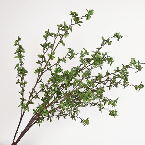 Feuilles d'eucalyptus artificielles Meng Jie, longues branches de 100 cm à 200 cm, décoration d'intérieur, arrangement de plantes vertes - Product Image 1