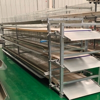 Équipement d'élevage avicole : Cage à poulets automatique de type H avec collecte d'œufs et nettoyage automatique du fumier pour l'élevage de poules pondeuses