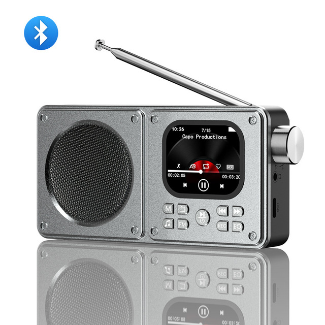 Professional FM Radio BT MP3 MP4 Player TF AUX Headset Stereo Built-in Speaker Alarm Clock HD Screen Video Playback