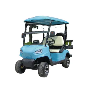 2024 Nieuwe Design Club Auto Buggy 6 8 Zitplaatsen Luxe 4 Wielaandrijving Elektrische Goedkope Oude Golfkarretjes Te Koop