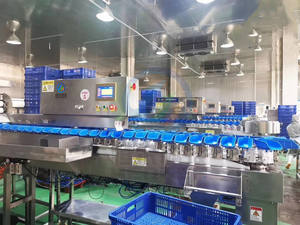 Trieuse de poids, balances, champignons, fruits, pommes de terre, tomate, viande congelée, convoyeur à bande, trieuse, machine combinée - Product Image 4