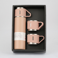 Ensemble de thermos à double paroi en acier inoxydable avec logo personnalisé, gobelet de 500 ml, bouteille d'eau pour coffret cadeau