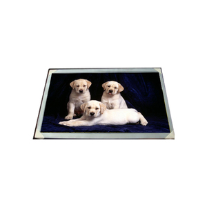 Écran LCD LM185WH1-TLC6 Original Compétitif 18,5 pouces 1366*768 - Product Image 1